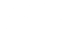Ivo Fiz Logo