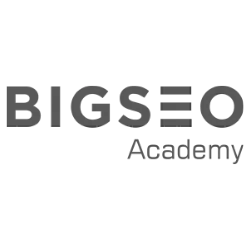 Logo BIGSEO Academy Cliente de Ivo Fiz